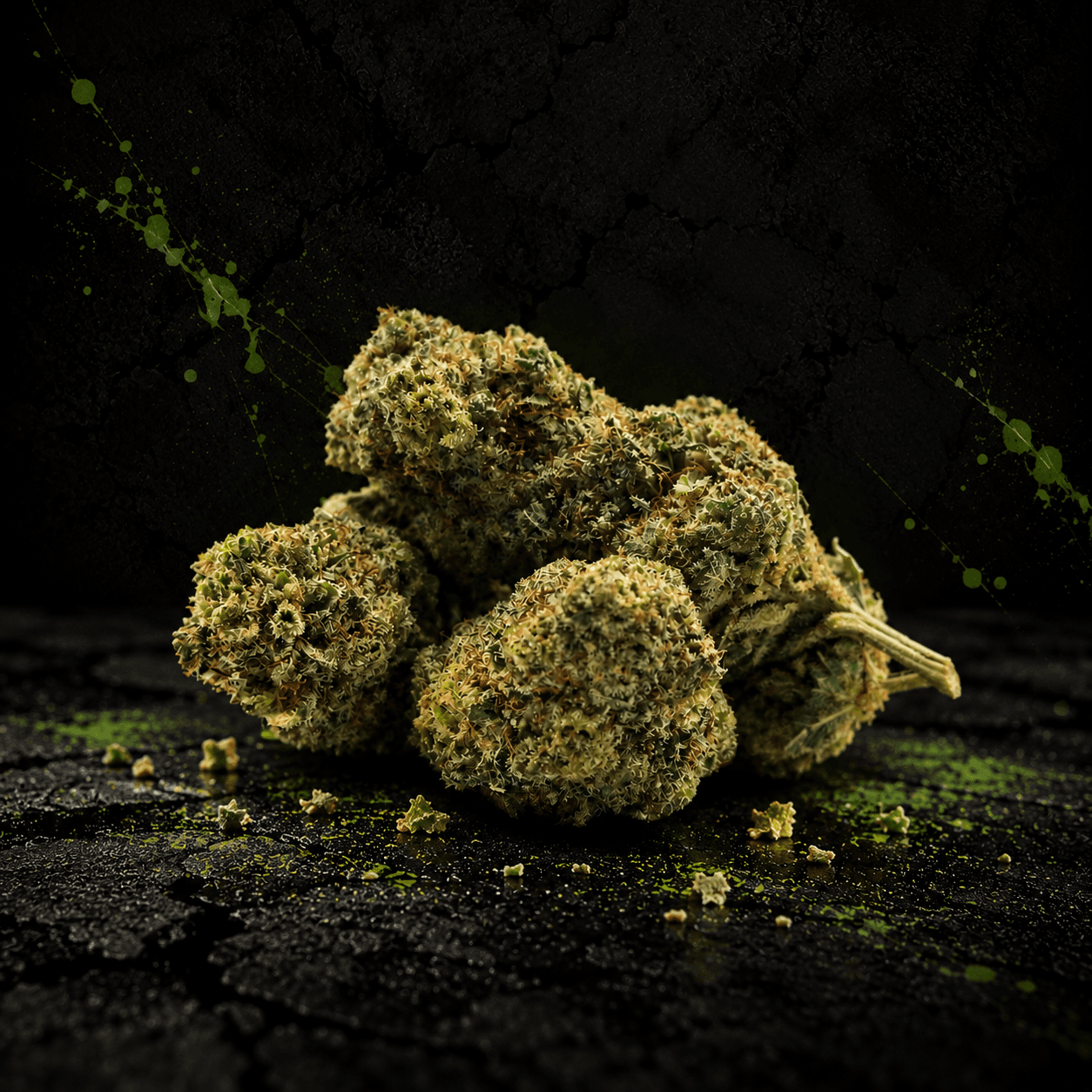 GB Kush